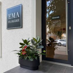 Florăria Ema Focșani